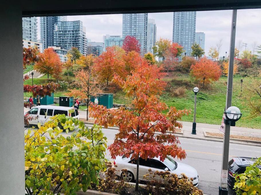 Luxe 2 Bed Suite Downtown Toronto Near Waterfront Buitenkant foto